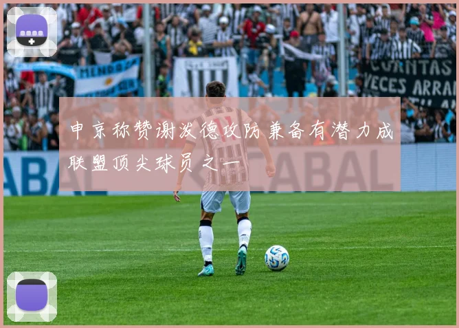 申京称赞谢泼德攻防兼备有潜力成联盟顶尖球员之一