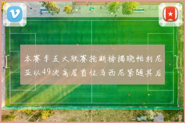 本赛季五大联赛抢断榜揭晓帕利尼亚以49次高居首位马西尼紧随其后